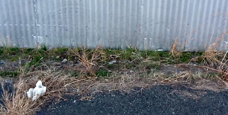 Weeds Before