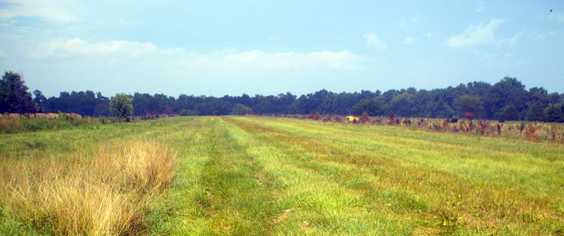 Montgomery-Wehrman 4MO Airport